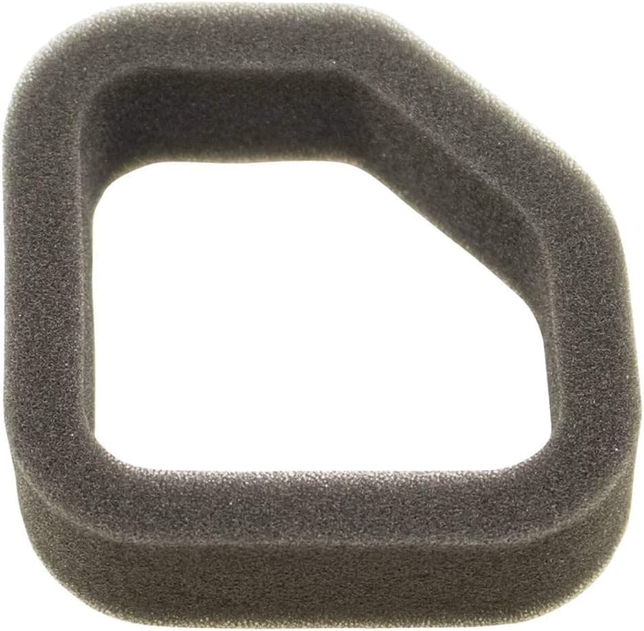 Stens 605-920 Air Filter