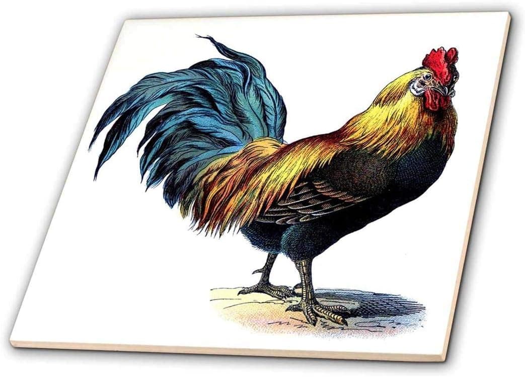 3dRose ct_37259_1 Blue Yellow Red Victorian Rooster Ceramic Tile, 4",Multicolor