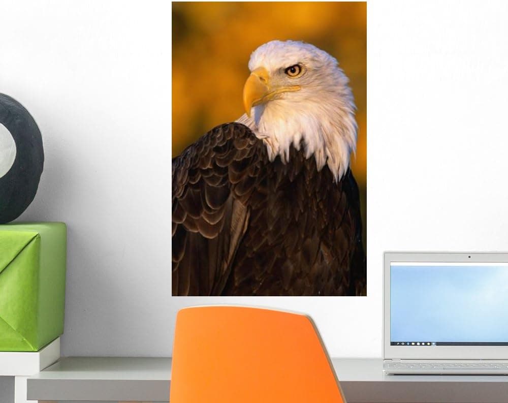 Wallmonkeys Bald Eagle Wall Decal Peel and Stick Graphic WM203059 (18 in H x 12 in W)