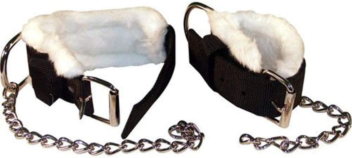 Intrepid International Horse Kicking Chains