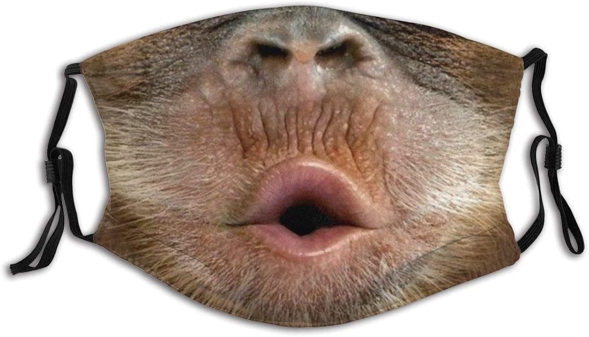 Funny Monkey Mouth Adults Anti Dust Mouth Cover Face Scarf Adjustable Mask with 6 Filters