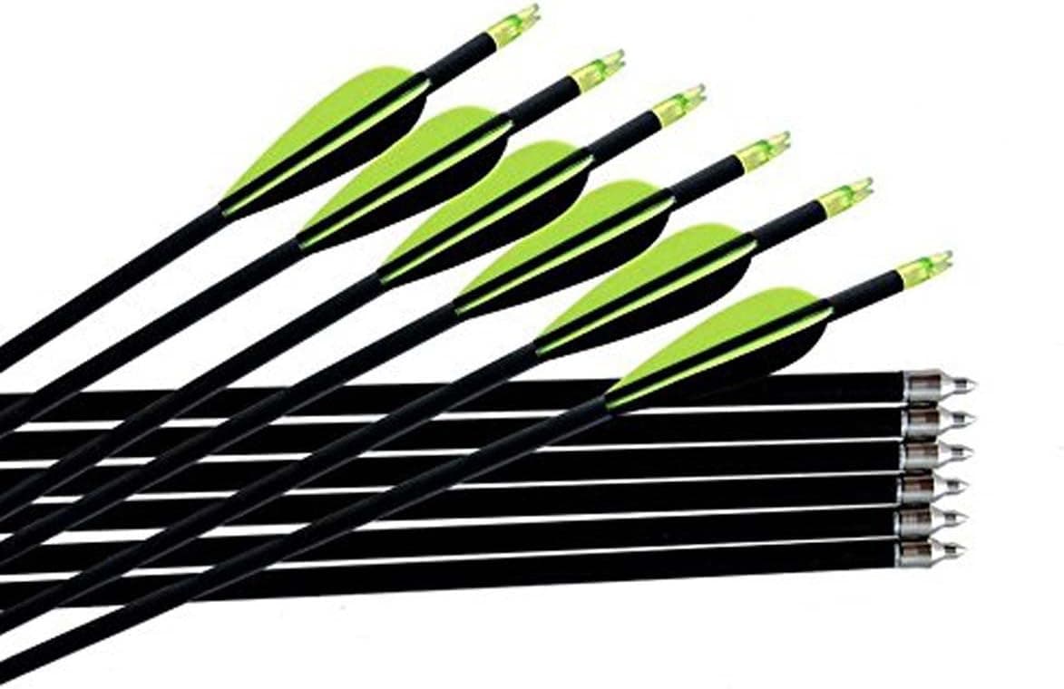 Buffalo 31Inch Target Practice Adult Fiberglass Arrow with Replacement Screw-in Broadheads High Velocity Arrows(1 Dozen)