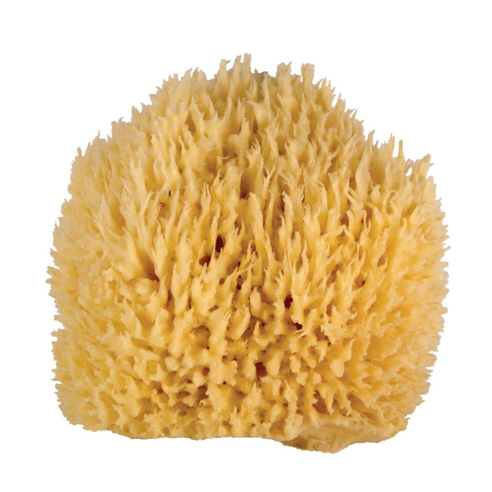 Whoa Daddy! Ultra Soft & Manly Large Sea Wool Bath Sponge