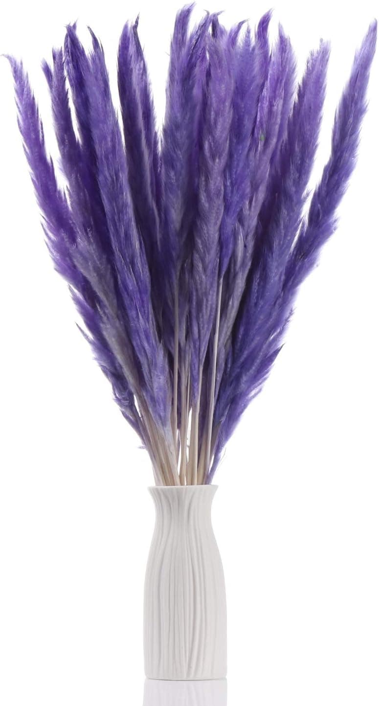 30pcs Dried Flowers 17 inch Natural Dried Pampas Grass Reed Plant with Box Real Flowers Romantic Wedding Flower Bulrush Bouquets Flavorful Durable for DIY Home Decor Matching Photography (Purple)