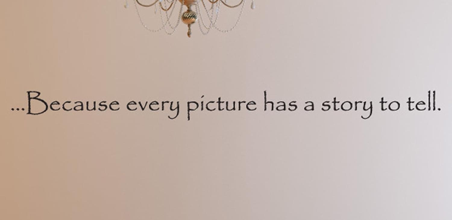 .Because Every Picture Has A Story to Tell 03 Wall Decals Stickers, Black, 15"