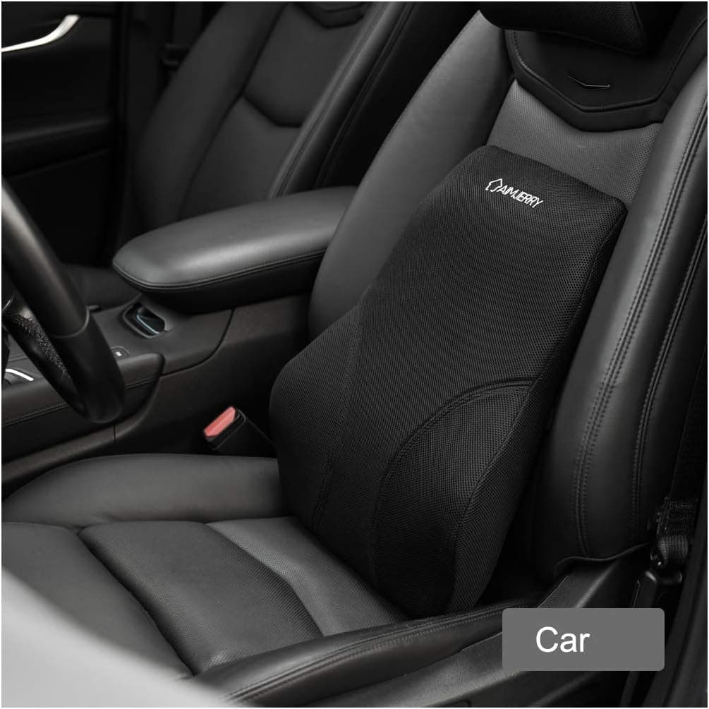 Aimjerry Back Support Memory Foam Lumbar Cushion Pillow for Car,Office (19x16x5 inch)