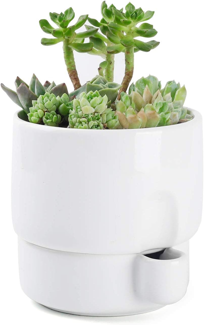 Greenaholics Plant Pots - 5.8 Inch Self Watering Planter with Water Container, Combine Design, for Small Plant, White