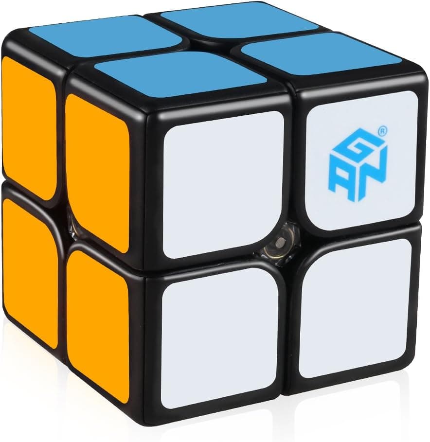 D-FantiX GAN 249 V2 M 2x2 Speed Cube Magnetic Gans 249 V2 M 2x2x2 Magic Cube Puzzle Black Core