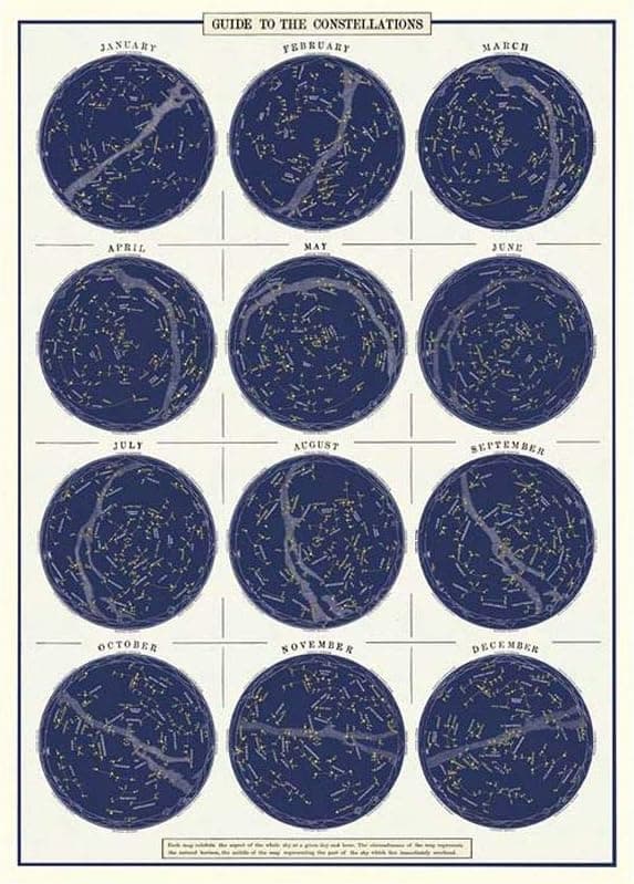 Cavallini & Co. Decorative Paper Sheet 20"x28"- Constellations