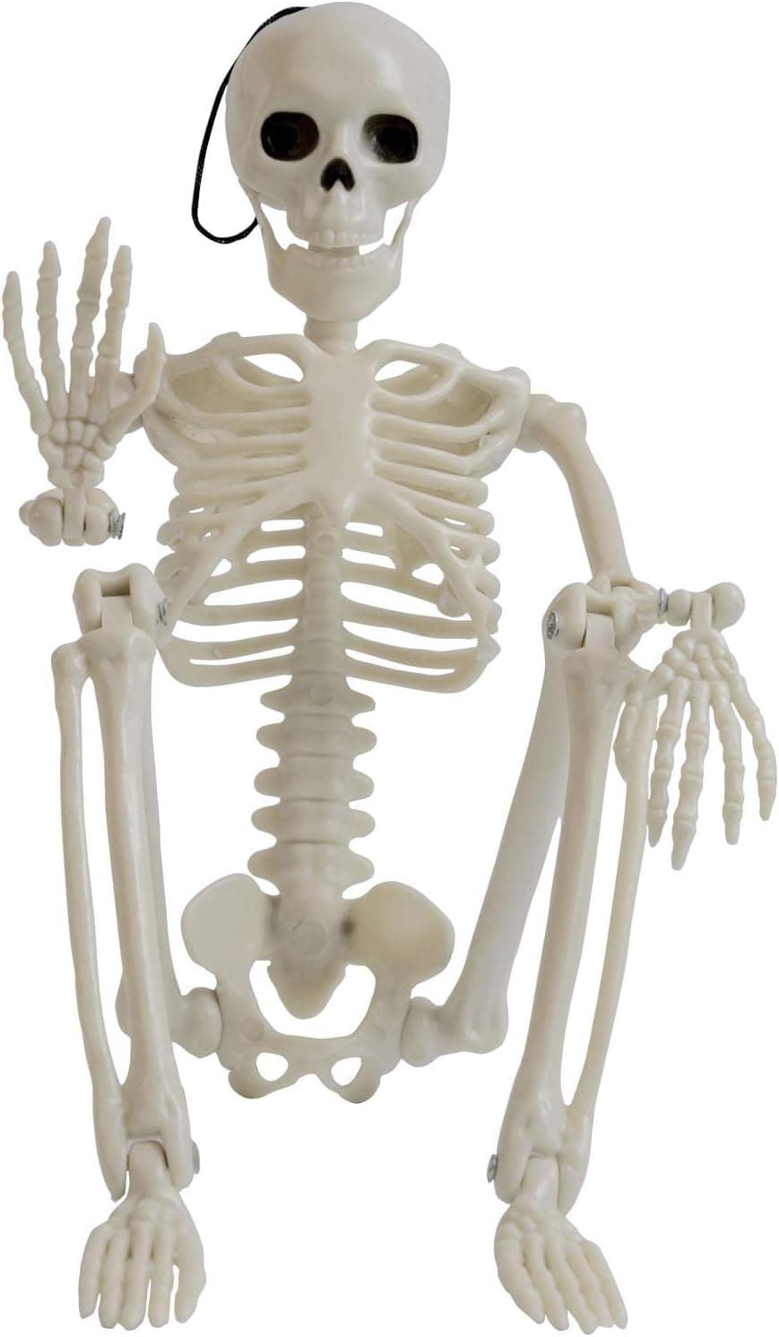 EDIWUIAND 15.7 * 4 Inch Posable Halloween Skeleton- Full Body Halloween Skeleton with Movable Accessories for Best Halloween Decoration