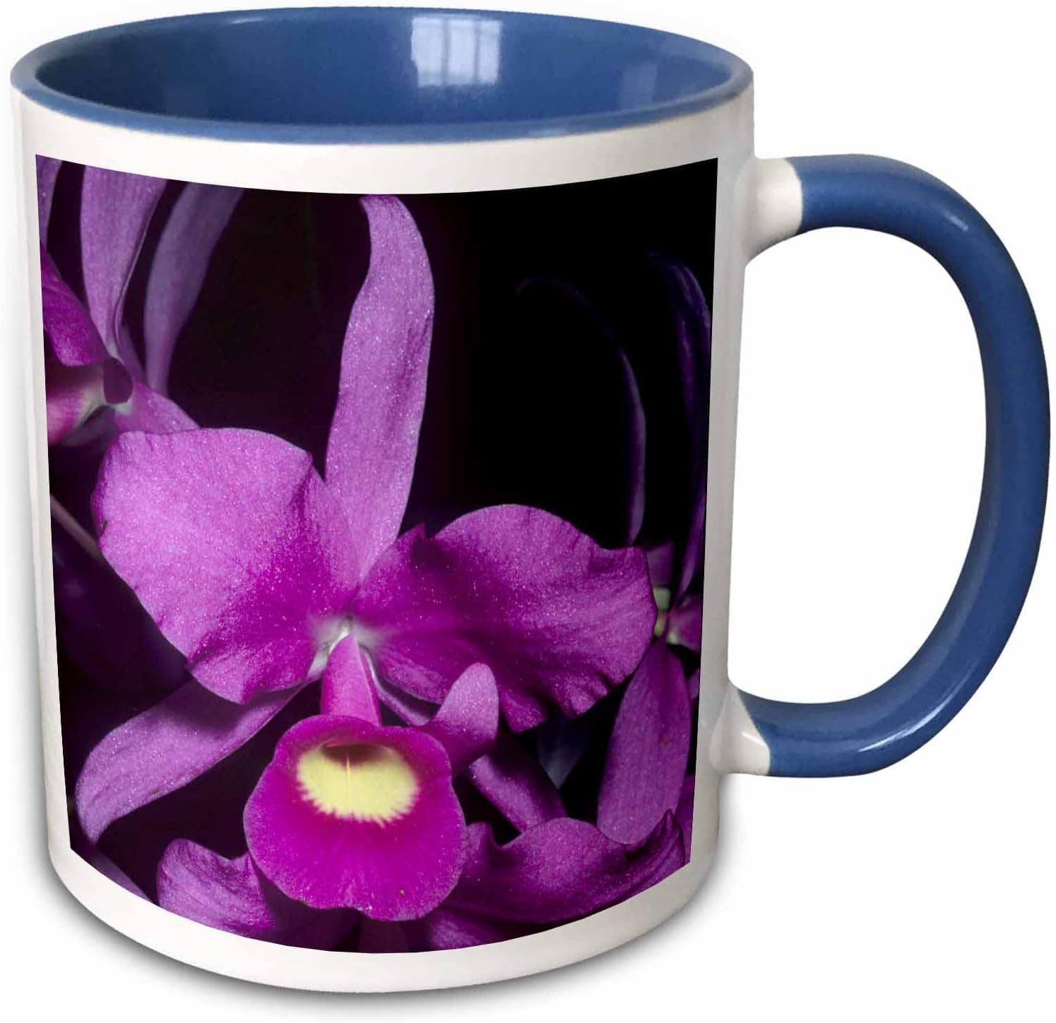 3dRose Orchid, National Flower of Costa Rica-SA22 KSC0145-Kevin Schafer Two Tone Mug, 11 oz, Blue/White