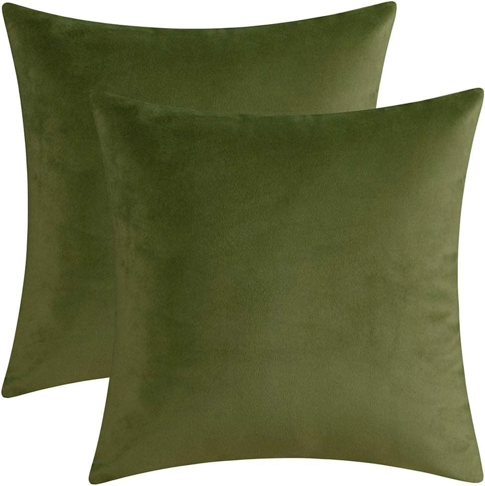Artcest Set of 2 Decorative Velvet Throw Pillow Cases, Soft Solid Cushion Covers for Sofa Couch and Bed, 16"x16" (Sage Green)
