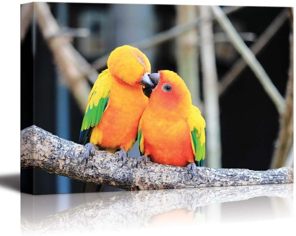 Canvas Prints Wall Art - Colorful Parrot Bird Kissing on The Perch Romantic Concept | Modern Wall Decor/Home Decoration Stretched Gallery Canvas Wrap Giclee Print & Ready to Hang - 16" x 24"