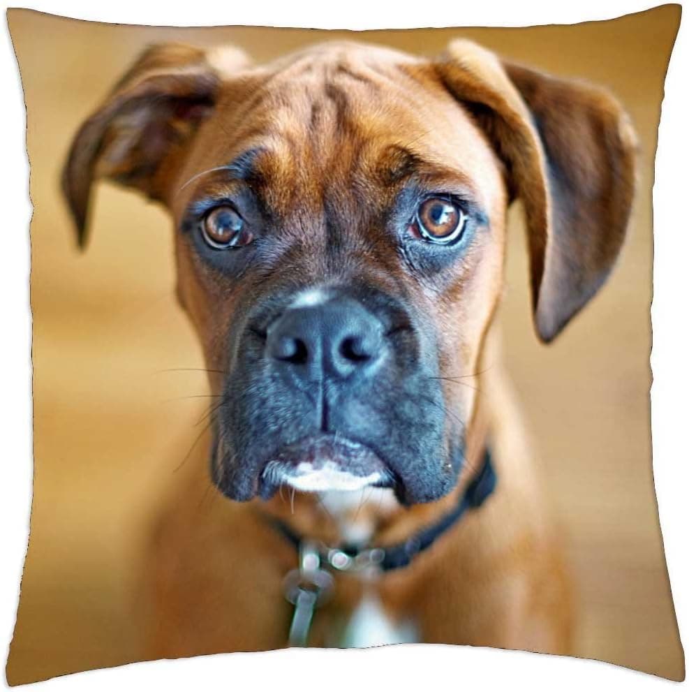 iRocket - Boxer - Throw Pillow Cover (18" x 18")