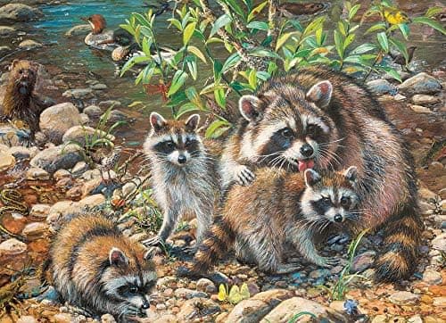 Cobble Hill 350 Piece Family Puzzle - Raccoon - Contains Small, Medium and Large Puzzle Pieces