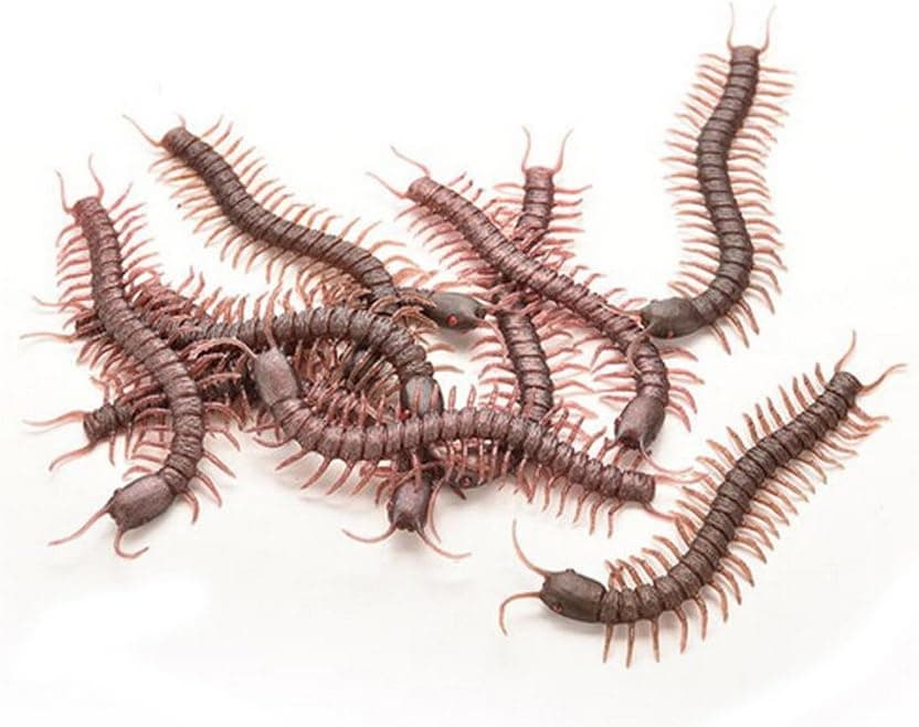 Vivian Realistic Fake Plastic Centipede Rubber Toy Joke Halloween Decoration Prop Pack Of 5PCS