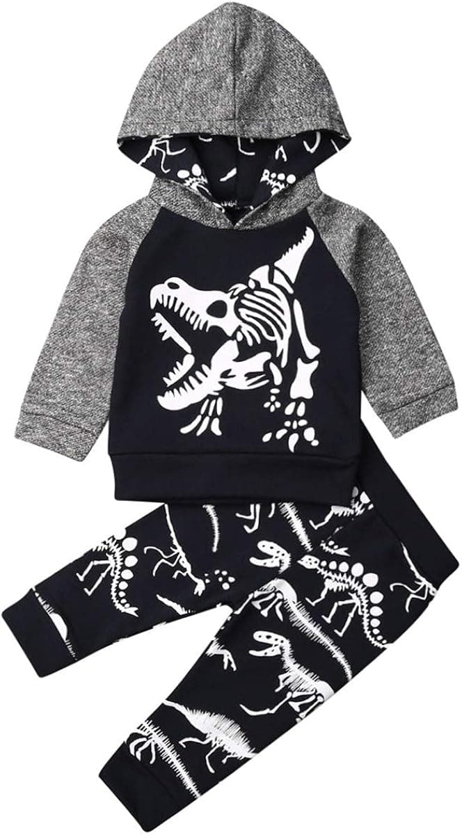 Toddler Infant Baby Boys Girls Dinosaur Long Sleeve Hoodie Tops Sweatsuit Pants Outfit Set