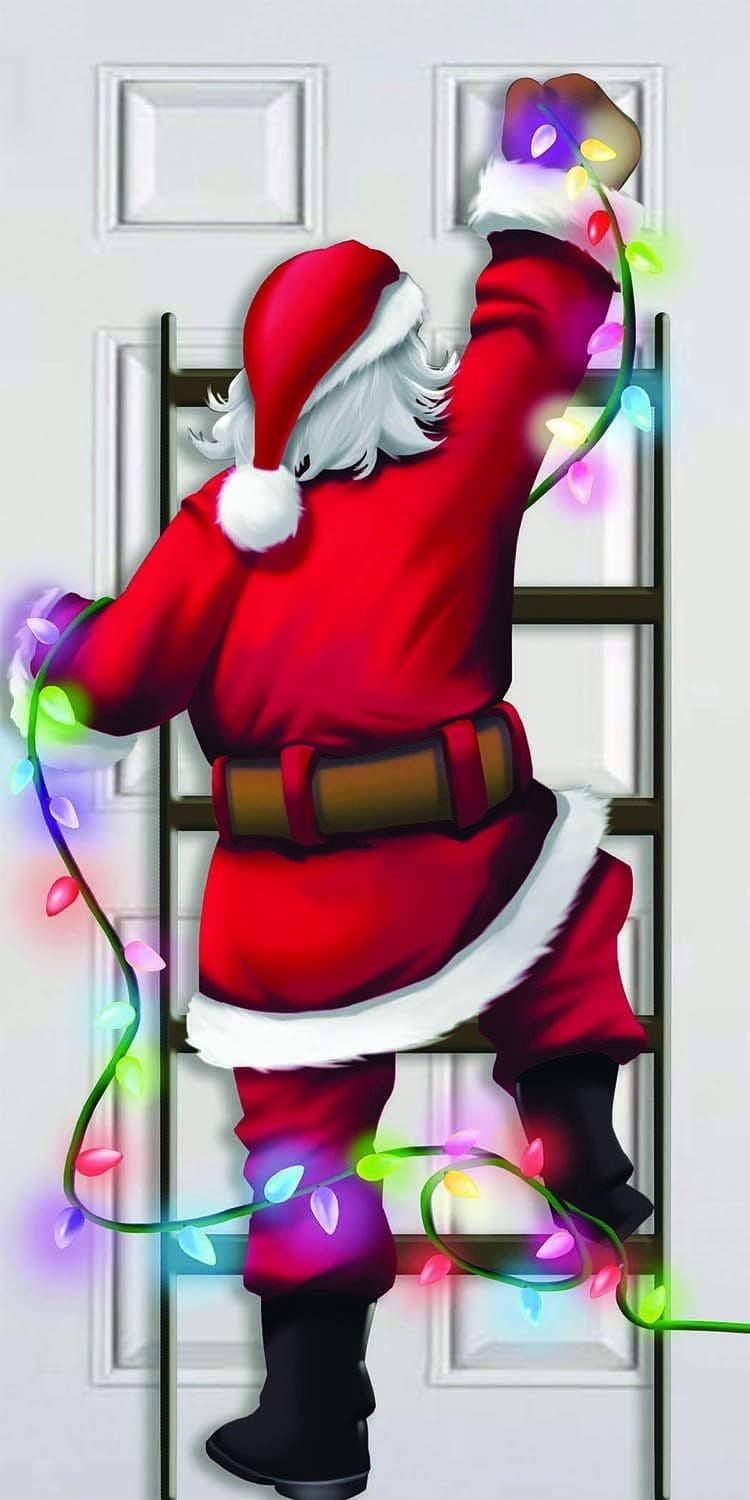 Forum Novelties 81589 Christmas Door Cover-Santa, Multi-Color, As Shown, One Size