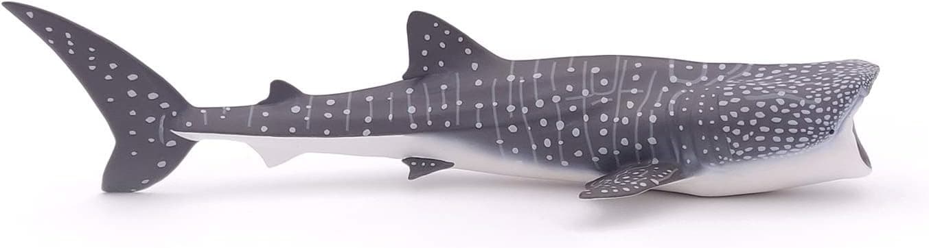 Papo - Hand-Painted - Figurine - Marine Life - Whale Shark Figure-56039 - Collectible - for Children - Suitable for Boys and Girls - from 3 Years Old