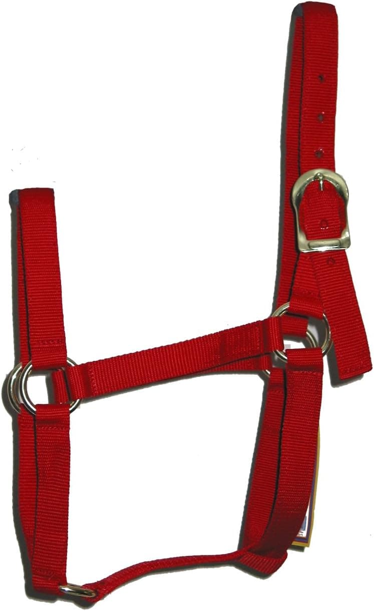 Animal Legends 1-Inch Polypropylene Halter for 800 to 1100-Pound Horse, Average, Red