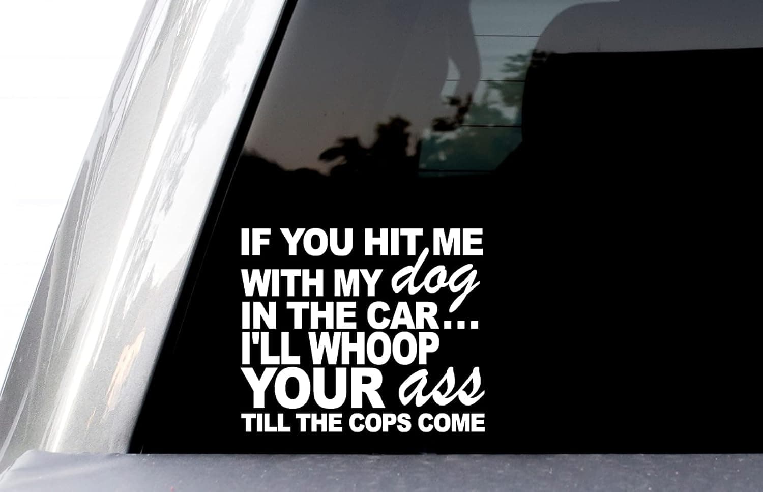 If You Hit Me with My Dog in The Car I'll Whoop Your A** Till The Cops Come Car Decal, Funny Vinyl Decals, Hunting Dog, Dog Paw Print, (White)