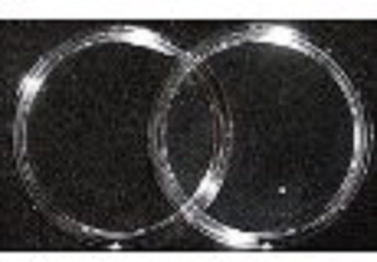 25 Air-Tite Direct Fit "H38" Coin Holders LARGE DOLLAR