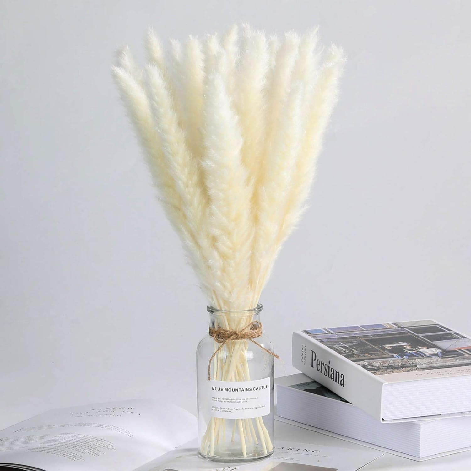 Skalago 30 Pcs Natural Dried Pampas Grass - 17.7 Inch Reed Plumes, Dried Bouquet of Flowers Arrangements Boho Home Wedding Kitchen Office Decor (White)