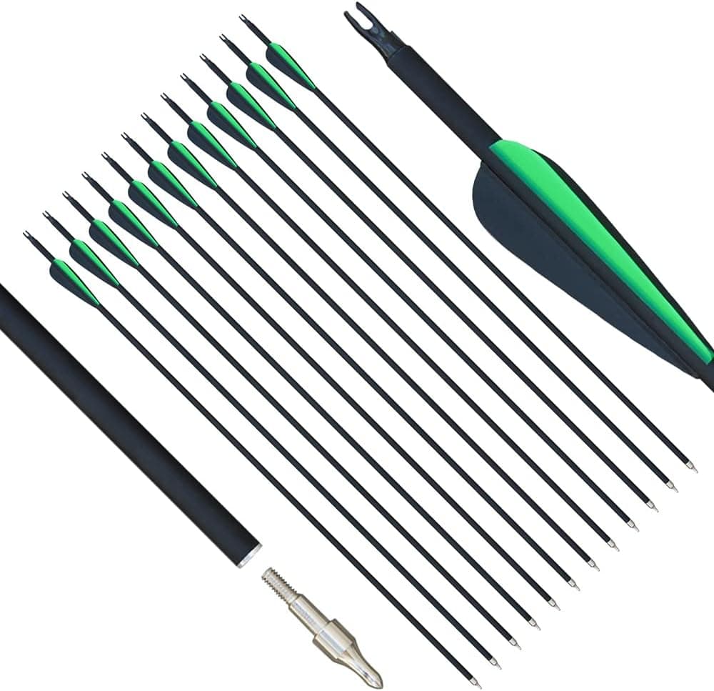 D&Q Archery 30Inch Carbon Arrow Practice Hunting Arrows with Removable Tips for Compound & Recurve Bow & Traditional Bow(Pack of 12)