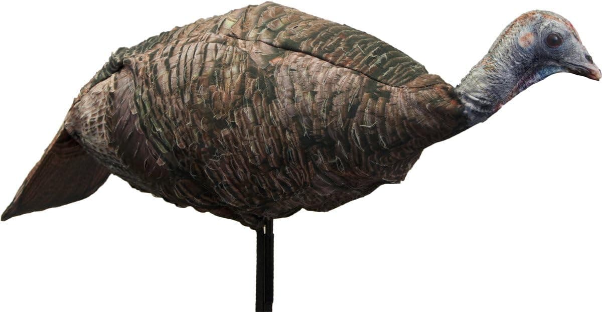 MONTANA DECOY: Miss Purr-FECT