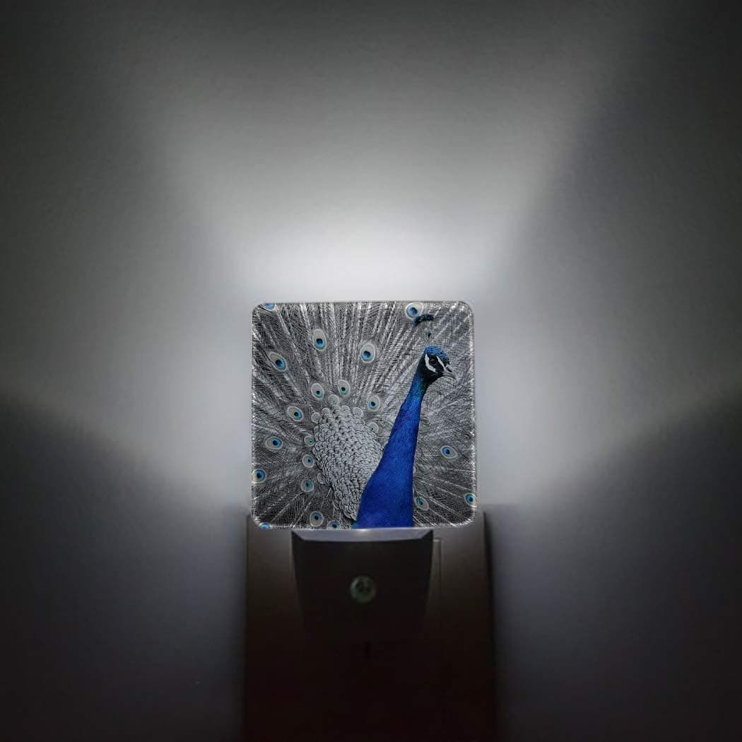 Night Light Plug in LED Lamp Automatic Sensor Night Lights Plug into Wall Beautiful A Peacock in His Pride 3D Aniaml Printed Bathroom Bedroom Hallway Bright Decor Square Dim Night-Lights for Kids Girl
