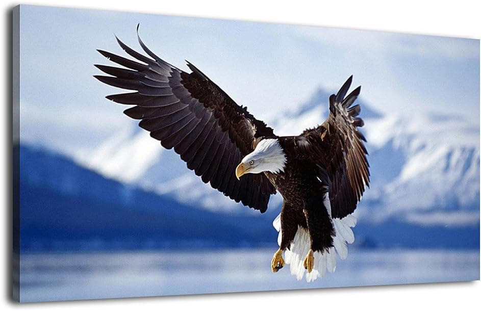 arteWOODS Eagle Wall Art Canvas Pictures Raptor Flying on Lake Picture Bald Eagle Snow Mountain Canvas Artwork Painting Prints for Home Decoration Framed Ready to Hang 20" x 40"