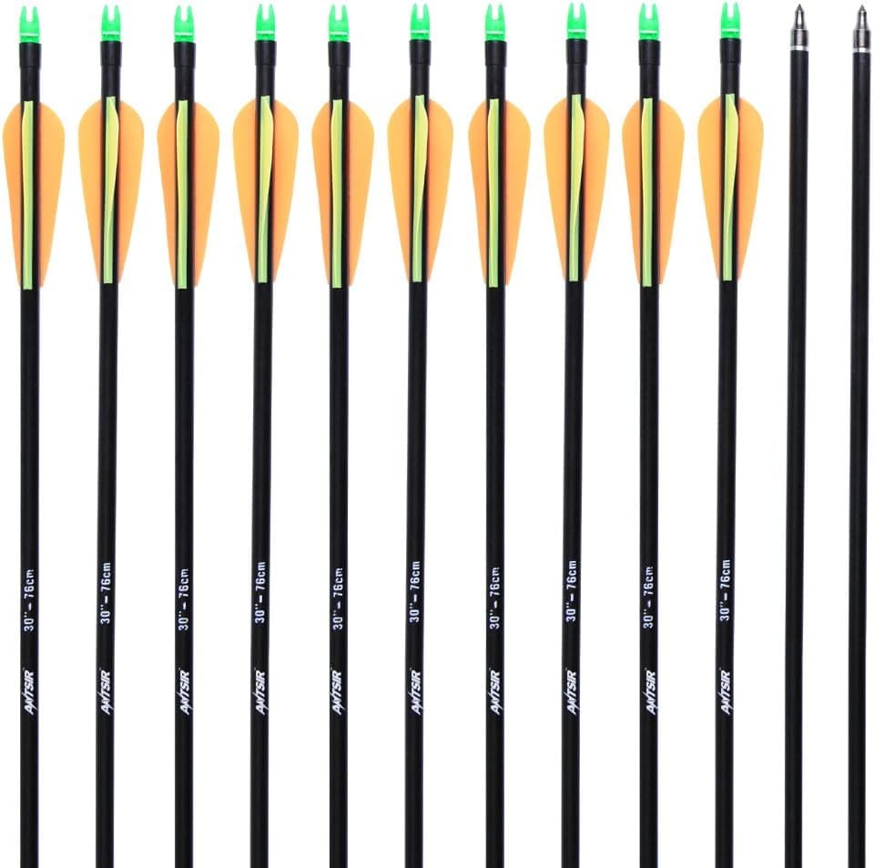 ANTSIR 30 Archery Target Arrow-Hunting Arrow for Adult and Youth Practice,with Double Shaft Steel Field Tip for Compound & Recurve Bow(Pack of 12)