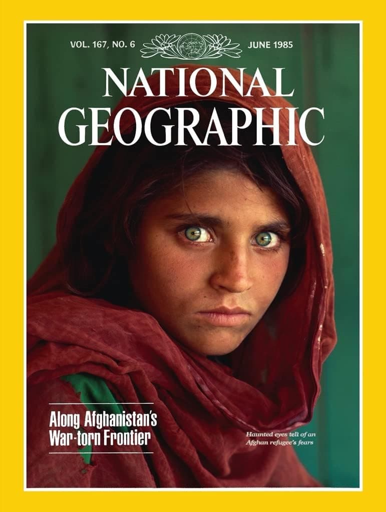 New York Puzzle Company - National Geographic Haunted Eyes - 500 Piece Jigsaw Puzzle