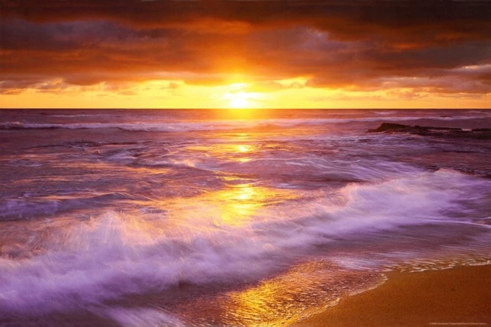 Sunset Cliffs Beach, San Diego, California Poster 36 x 24in with Poster Hanger