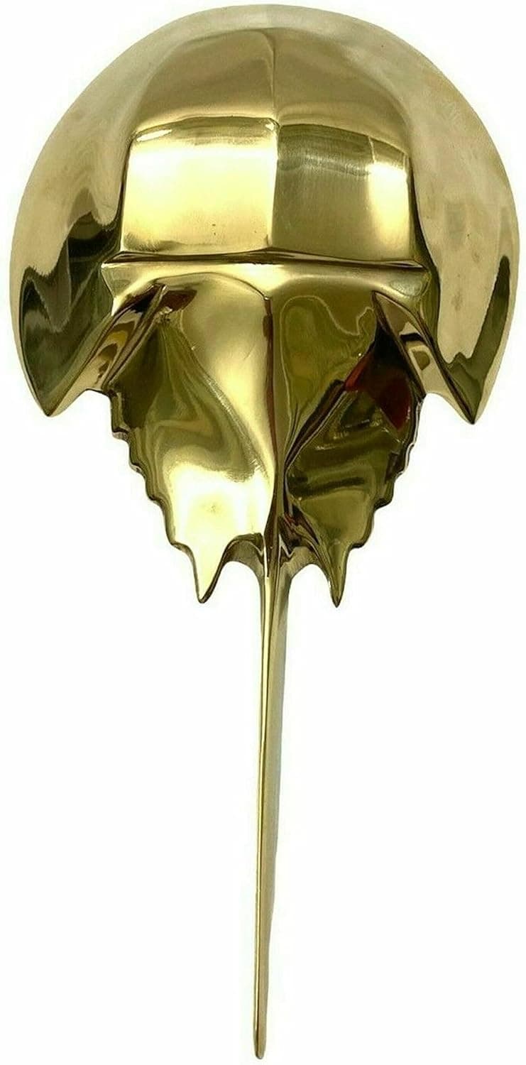 Nautical Stingray Shape Door Knocker Brass Polished Door Knocker Decor | Stingray Fish Shape Door Knocker/Nautical Decorative Door Knocker by Infinity Export, Gold, 6 Inch