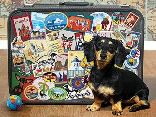 Cobble Hill 500 Piece Puzzle - Dachshund 'Round The World - Sample Poster Included