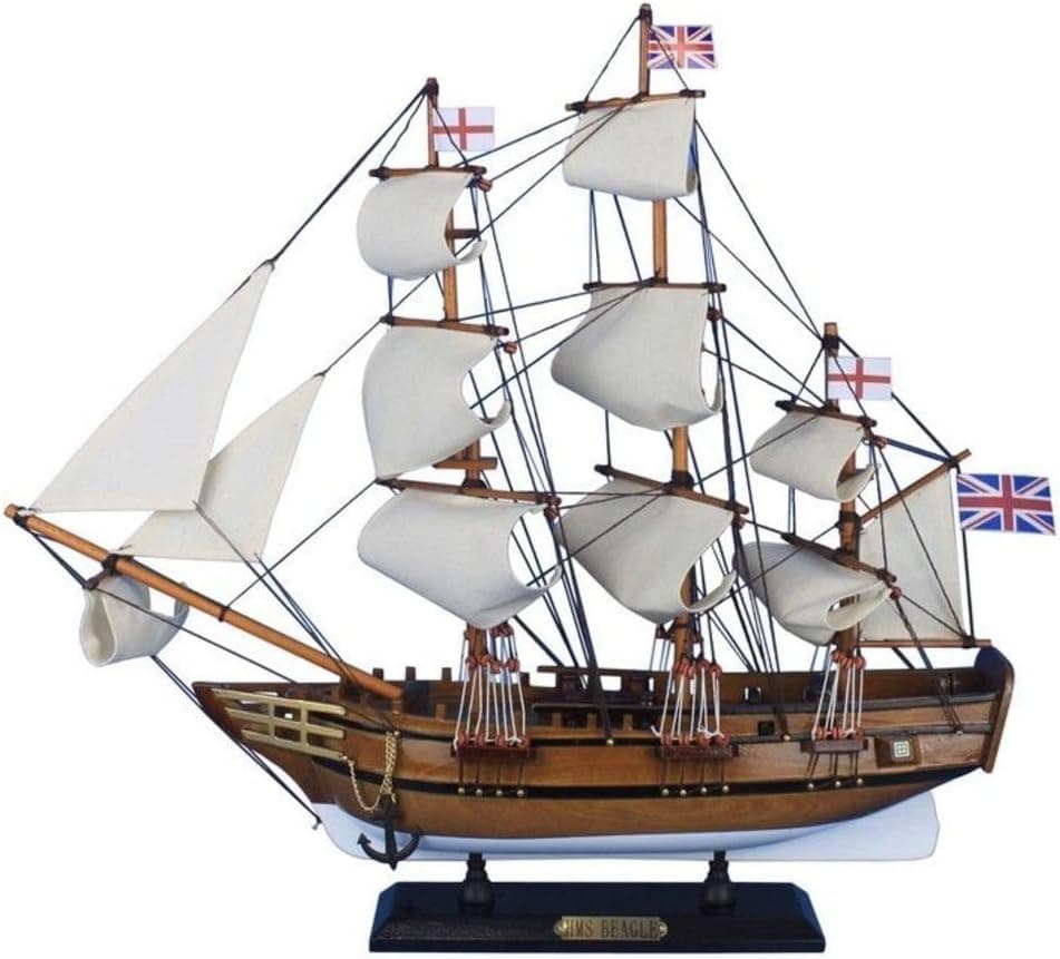 Hampton Nautical Beagle-20 Wooden Charles Darwin's HMS Beagle Tall Model Ship, 20", Brown