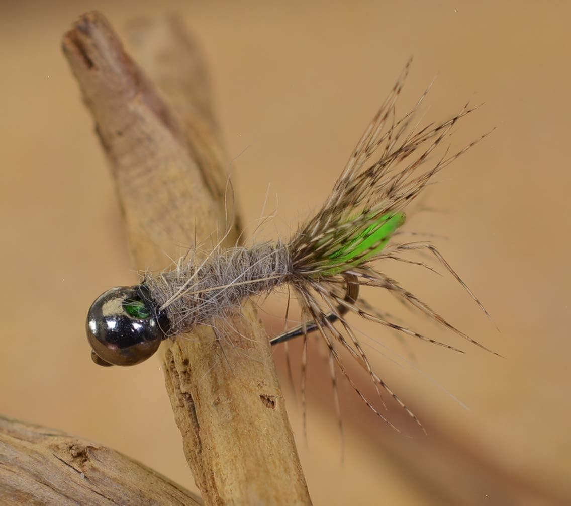 Region Fishing Tungsten Bead Peeping Caddis Jig Fly - Euro Nymph Flies - Hanak Hooks
