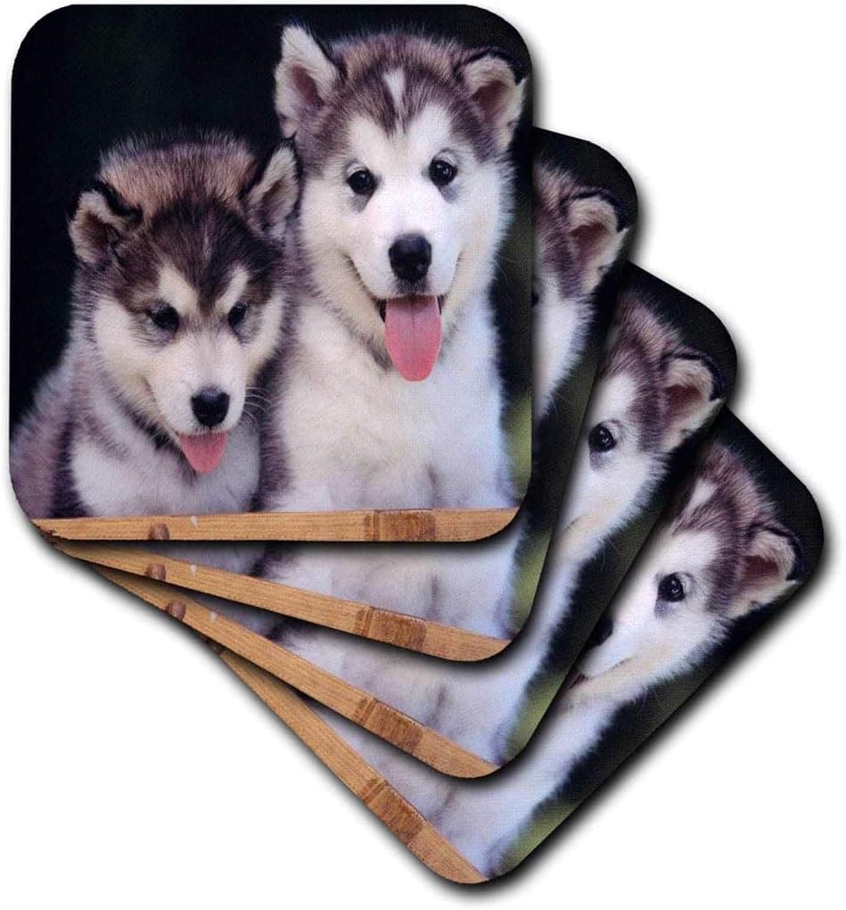 3dRose CST_55166_1 2 Alaskan Malamute Puppies Soft Coasters (Set of 4)