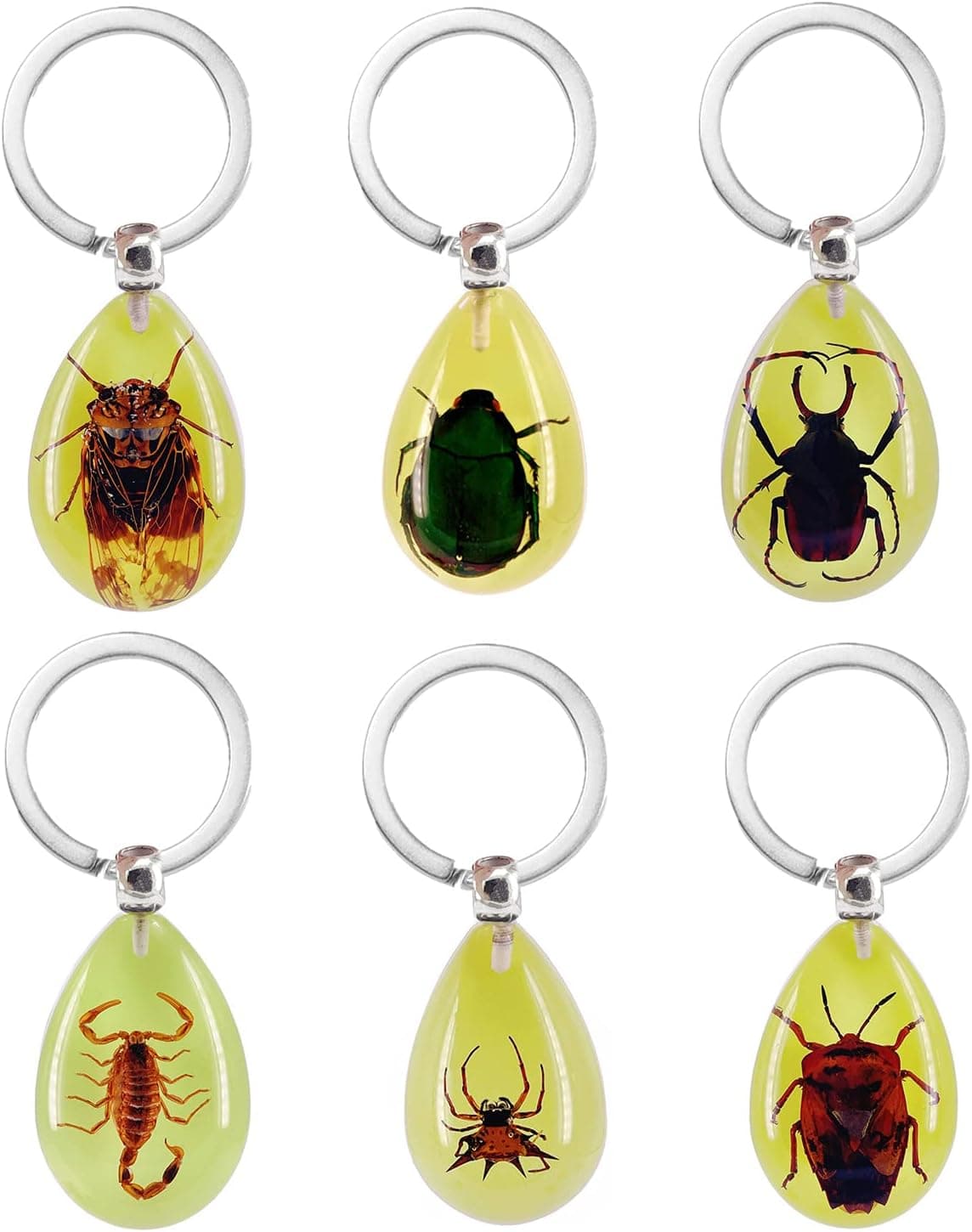 QTMY 6 Pack Insect in Resin Specimen Collection Luminous Glow in The Dark Keychain Keyring ,Halloween Christmas Science Classroon Decor Kits Set Education