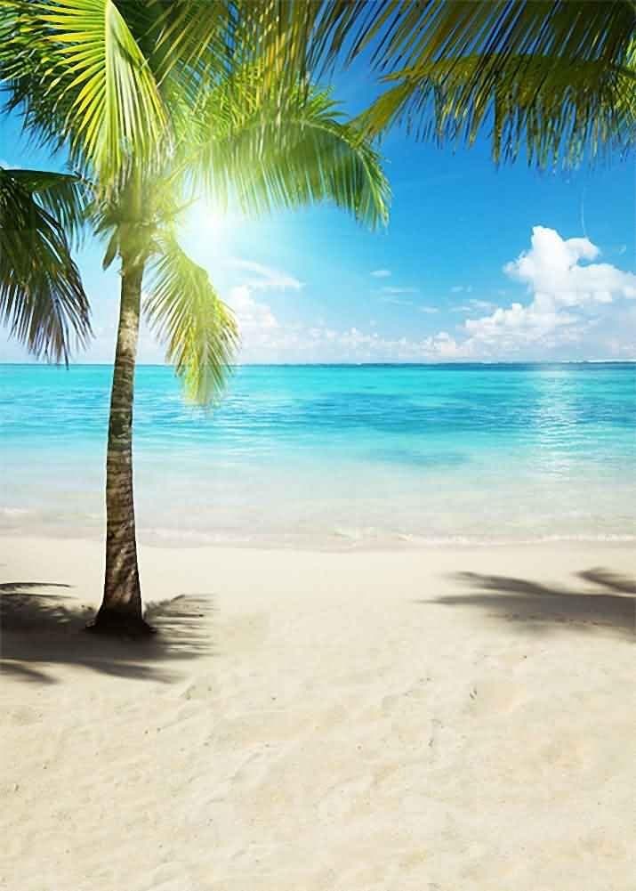 GladsBuy Growing Coconut Trees 5' x 7' Computer Printed Photography Backdrop Nature Theme Background S-163