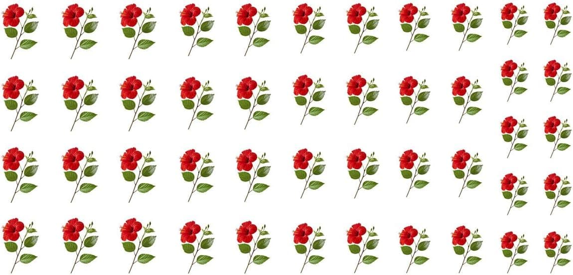 Hibiscus Flowers Salon Quality Water Slide Nail Art Decals - Valentine's Day!