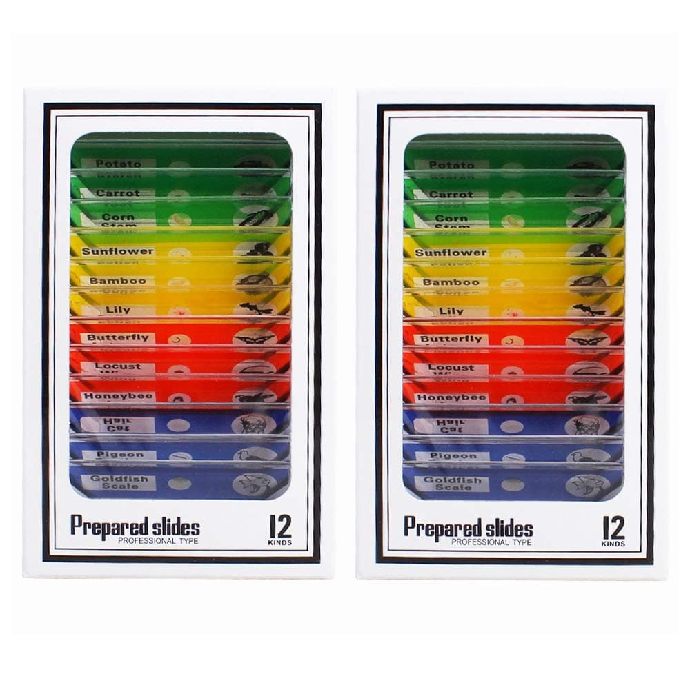 Kiwochy 24pcs Microscope Slide Set Microscope Slide Collection of Insect and Plant Specimens Plastic Sample Set for Kids Students Biology Specimen Lab Sample Plant Insect Animal Vegetable 3 pcs Each