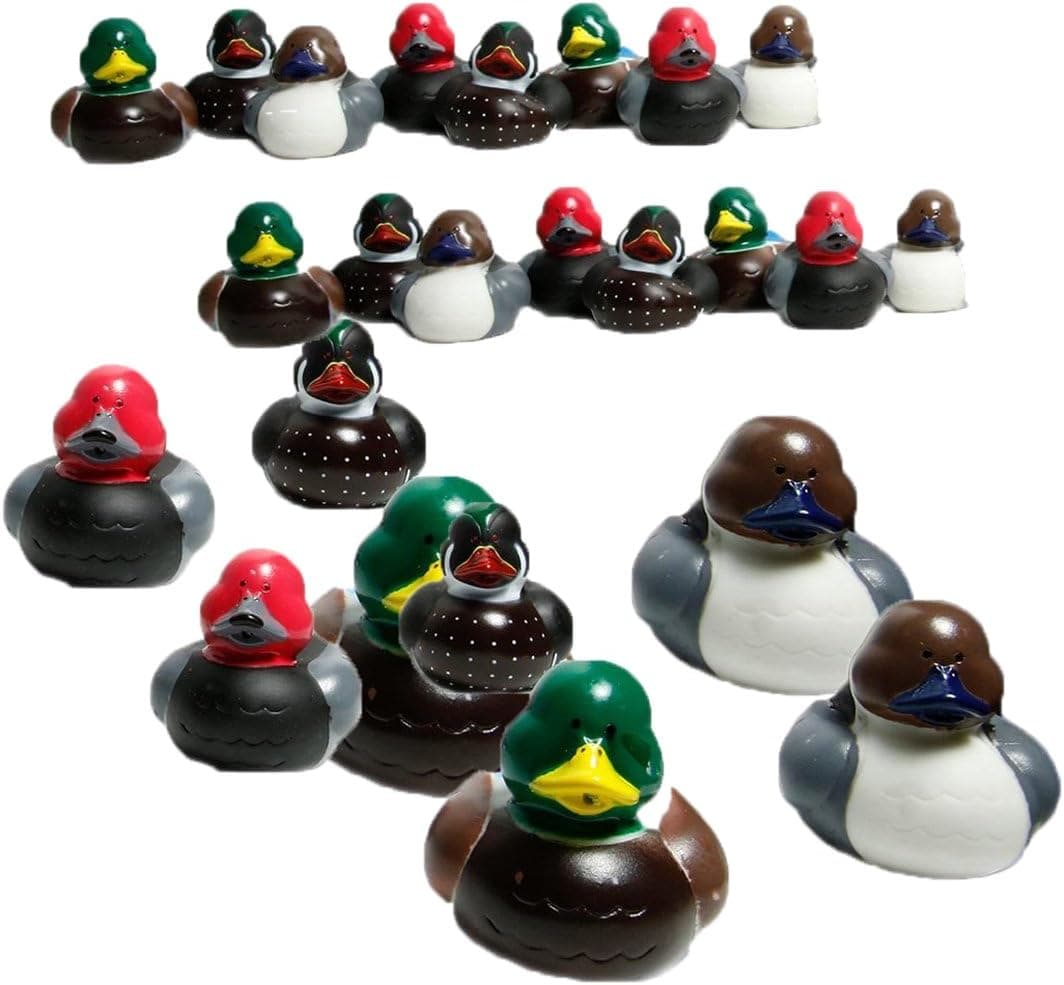Fun Express Mallard Decoy Rubber Ducks - 24