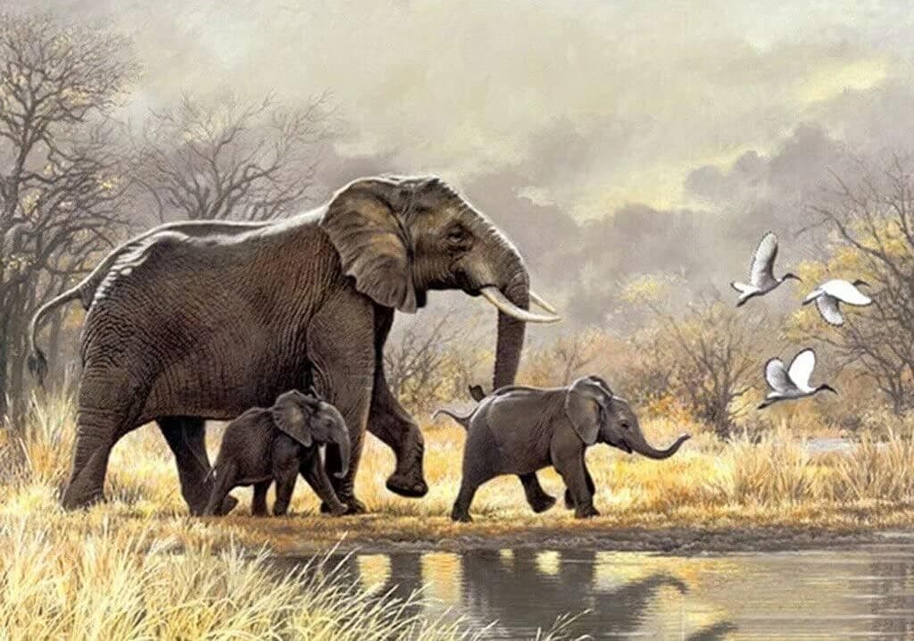 Animal Puzzle Elephant 1000 Piece Jigsaw Puzzles,Elephant Walking,Educational Puzzle Family Game Gift for Adults and Kids,Jigsaw for Active Thinking Party Entertainment