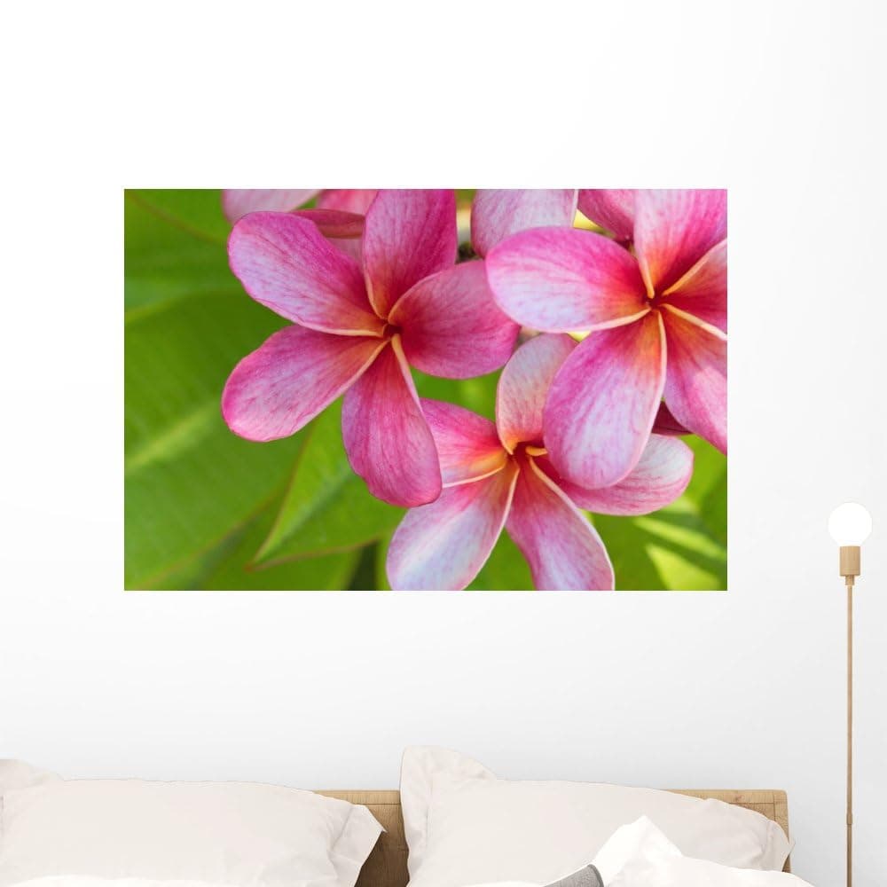 Wallmonkeys Pink Plumeria Wall Decal Peel and Stick Graphic WM244064 (36 in W x 24 in H)