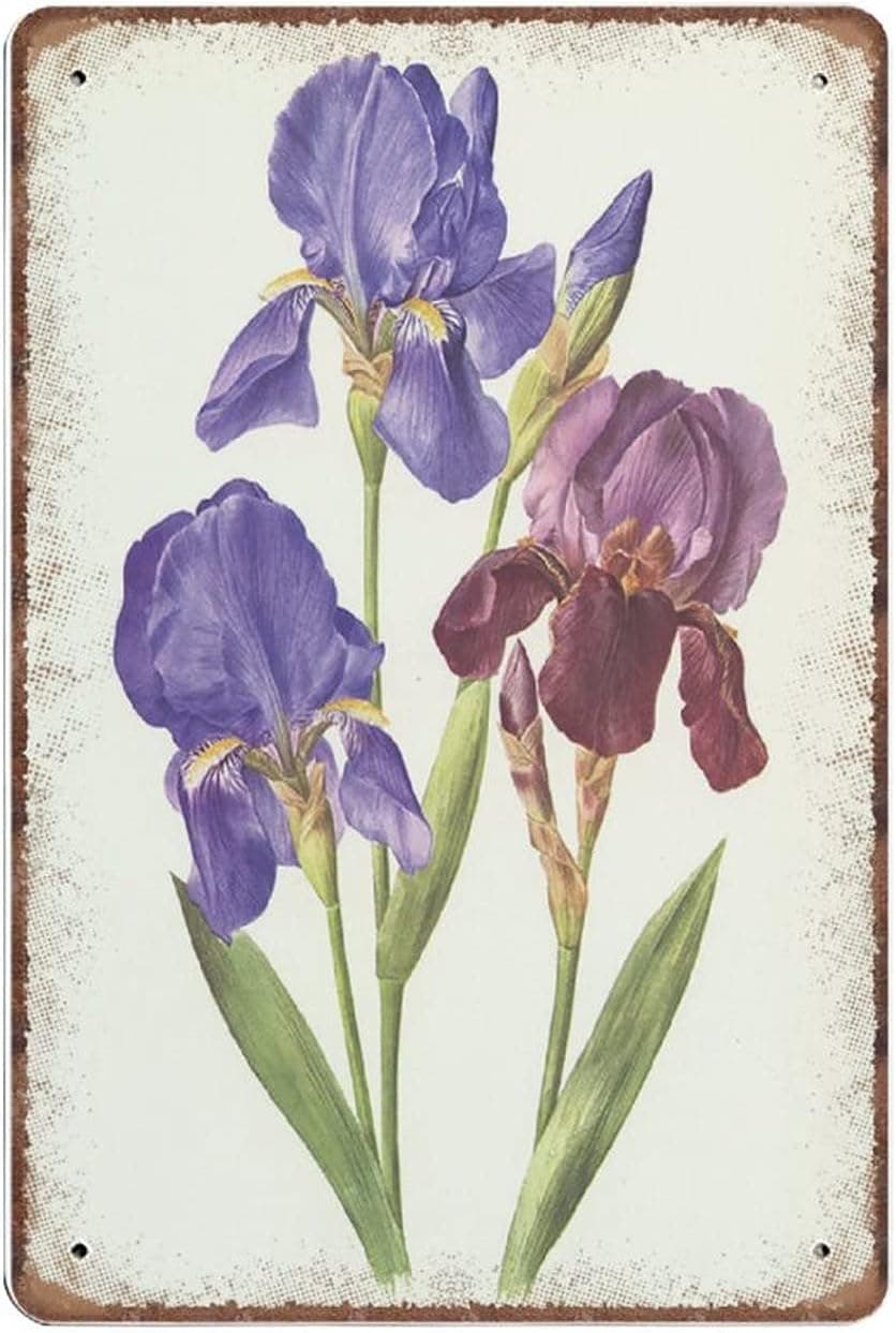DAIERCY Purple Iris Tin Signs 1964 Vintage Botanical Art- Violet Iris Flower Wall Decor- Shabby Chic Wall Decor French Decor Funny Metal Sign Home Decor, 140 X 200 mm