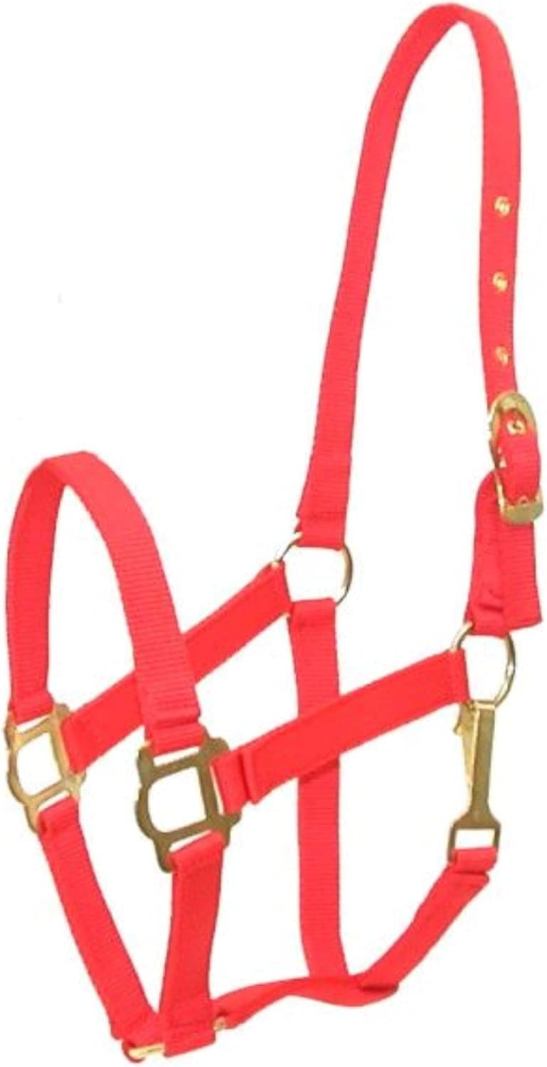 Gatsby Classic Nylon Halter/Snap