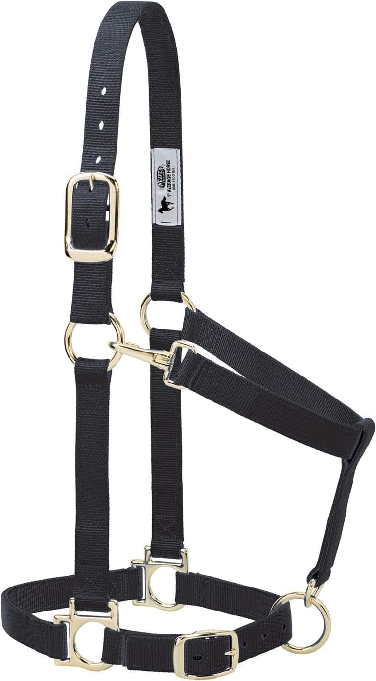 Weaver Leather Basic Adjustable Halter