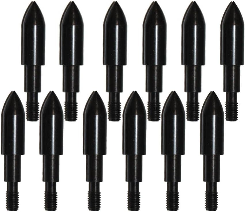 MILAEM 12pcs 100 Grain 125 Grain Archery Bullet Points Screw in Field Points Tips for Target Practice Shooting